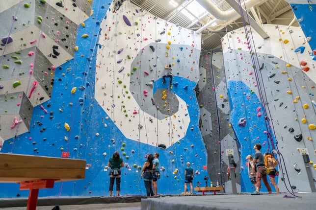 Rope climbers at Movement Columbia