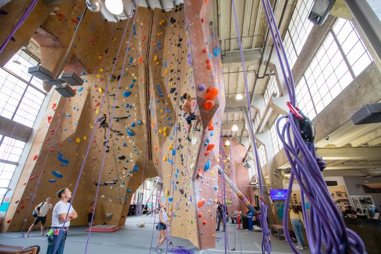 Climbers climbing at Movement San Francisco